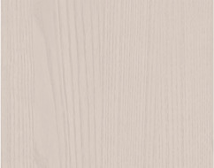 A sand dune in a desert with a beige sky