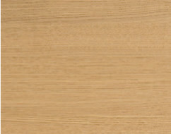 A sand dune in a desert with a beige sky
