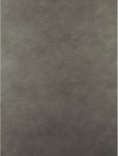 A sand dune in a desert with a beige sky