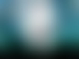 Rainbow light body 42 33