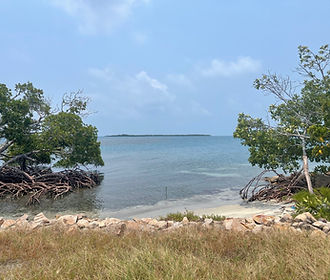 caye 5.jpg