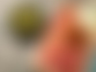 Veneto: Castello di Roncade, Treviso e Asiago con degustazione prodotti tipici