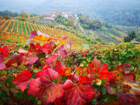 Gran Tour delle Langhe e Monferrato 3 giorni