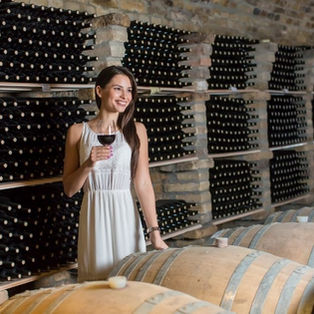 Treviso e il Castello di Roncade con Degustazione