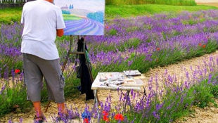 Profumo di Lavanda e di Rose in Alta Langa