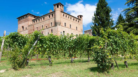 Langhe, Saluzzo, Abbazia di Staffarda, Castello di Grinzane Cavour, Tartufo di  Alba