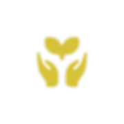Design sem nome (3).png