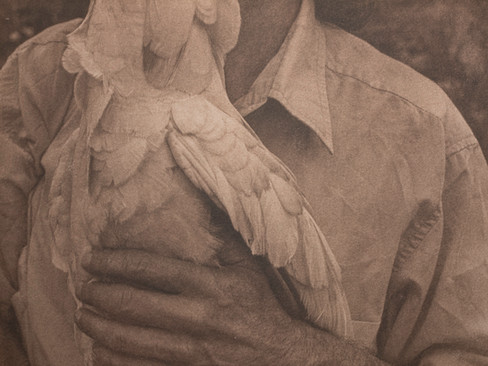 Mais je, Cyanotype viré au thé puis au maté, 23 x 30 cm, © Sylvette Gublin-Carroll, Les Lilas, Franc