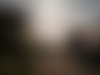 Torhanm, Suède, 26/06/2025, 06:18:31.000, Cotton glossy fine art print, © Sylvette Gublin-Carroll