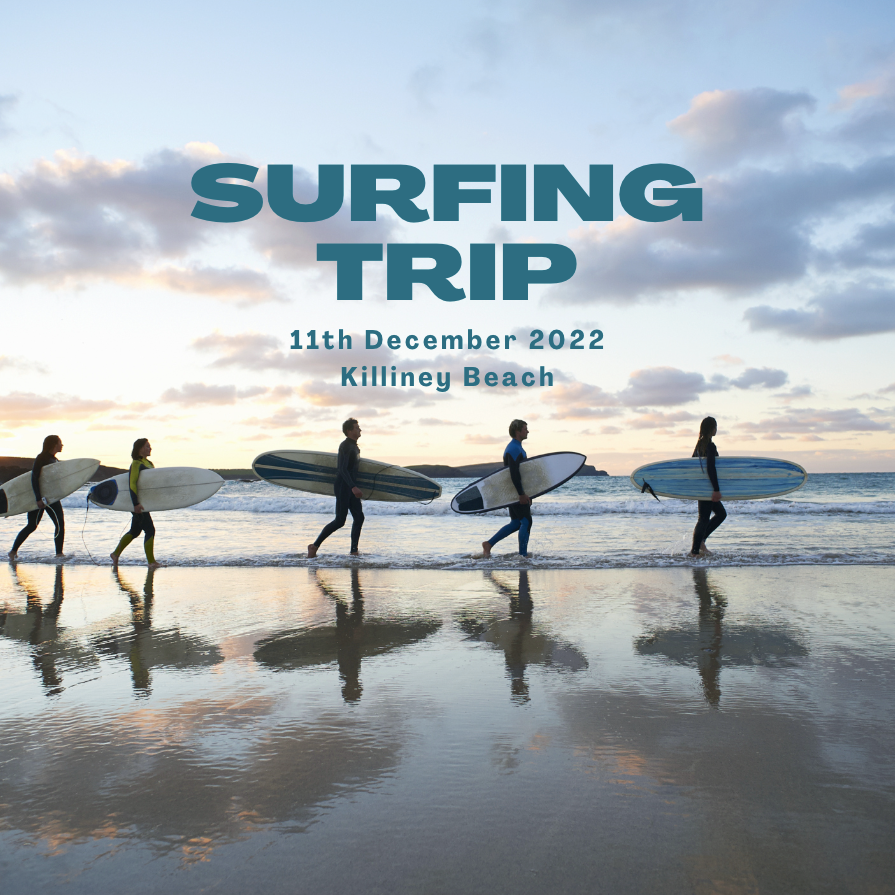 Surfing Trip to Dalkey
