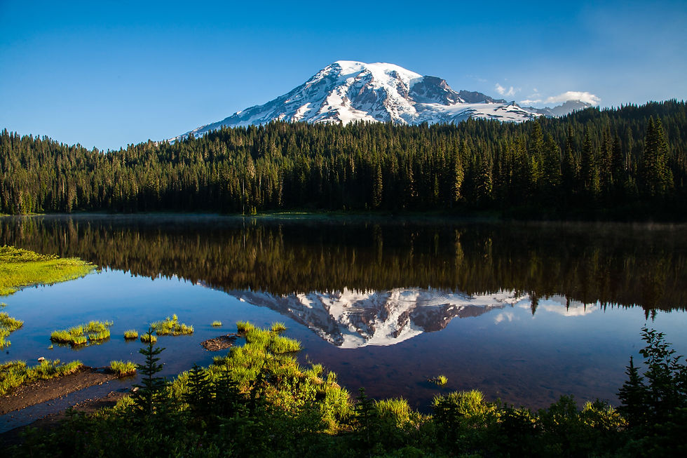 mt rainier