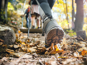 Finding Your Way: Natural Navigation Techniques