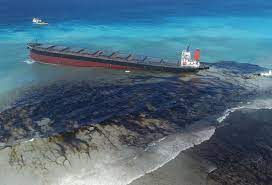 The MV Wakashio Oil Spill