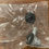 Thumbnail: Brake Booster Valve
