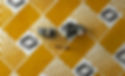 Thumbnail: Renault R5/ Turbo 2 / Turbo 1 headlight supports