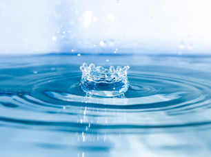 '!היא מציעה לו להצטרף לאימון זוגי, והוא אומר 'לא