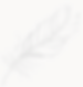 Capture_edited_edited.png