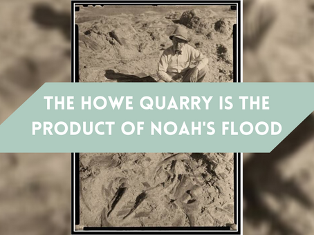 How the Howe Quarry Proves Noah's Flood
