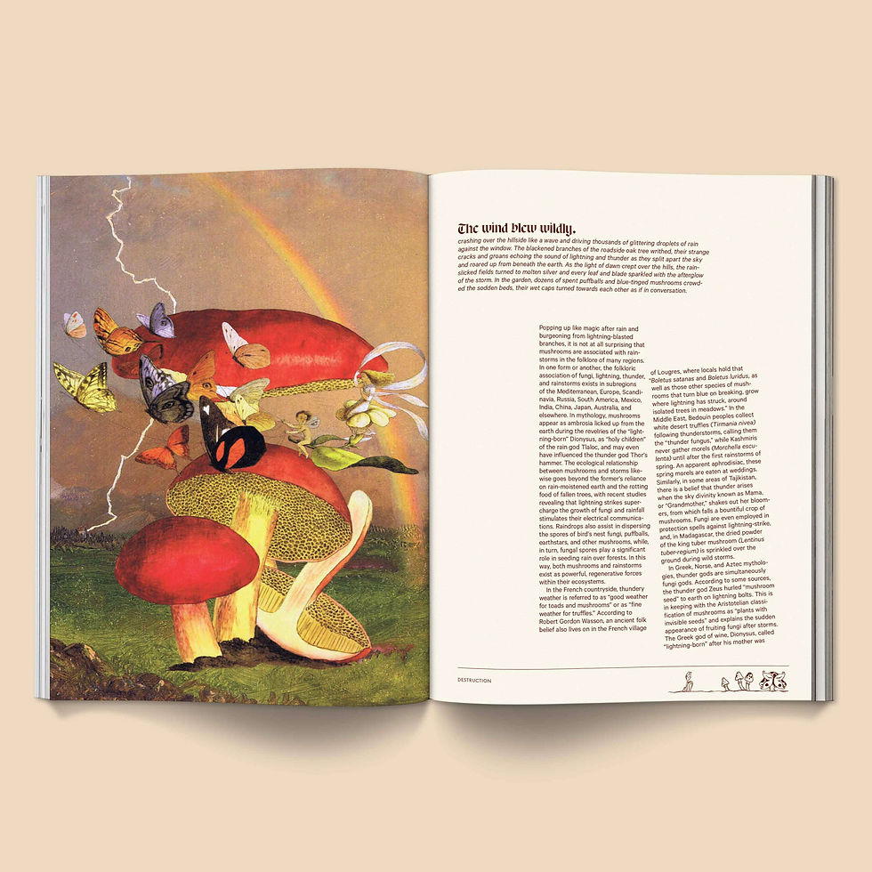 Thumbnail: Mushroom People Magazine - Volume 2