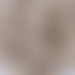 Know your herbs: Slippery Elm, the most threatened herb of “least concern”