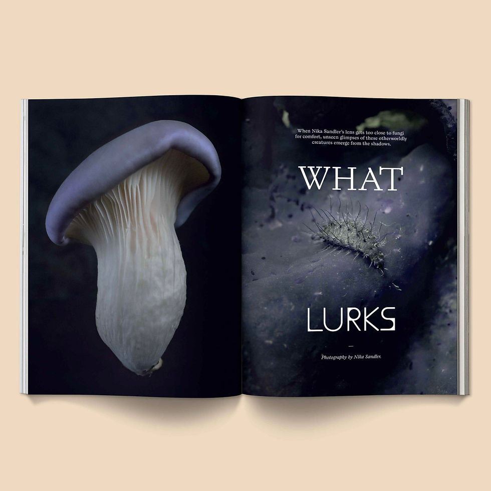 Thumbnail: Mushroom People Magazine - Volume 2