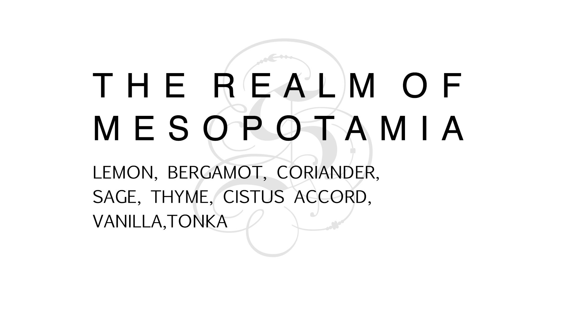 The Realm of Mesopotamia