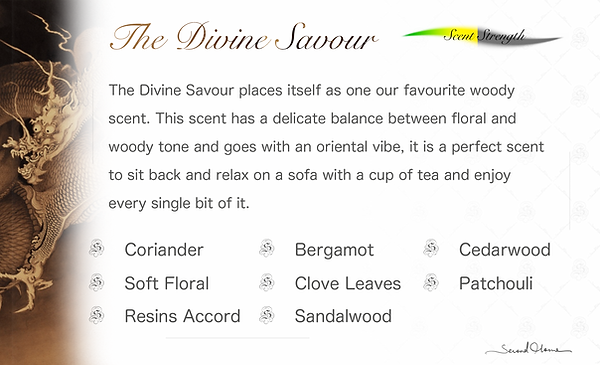 The Divine Savour.png