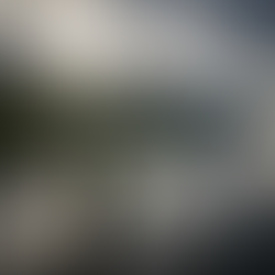 The Mysterious World of Cryptids: Exploring Bigfoot and Other Elusive Creatures