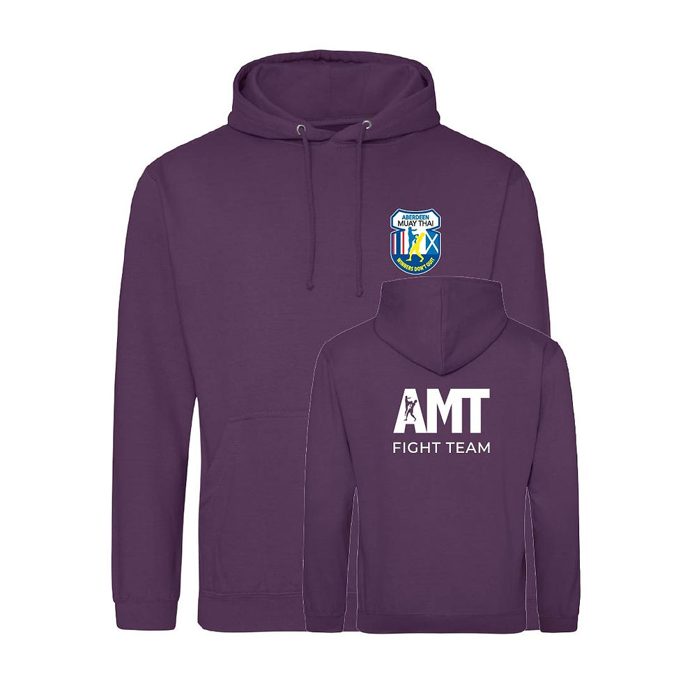 Thumbnail: AMT Adults Fight Team Hoodie