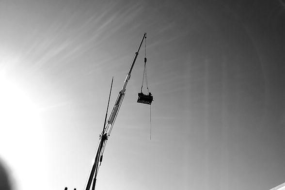 IMG_20231210_0930227_edited.jpg