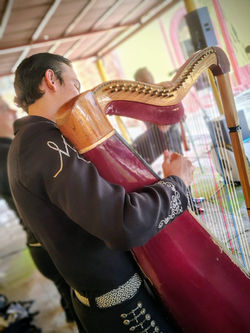 WhatsApp Image 2026-03-16 at 3.38.11 PM