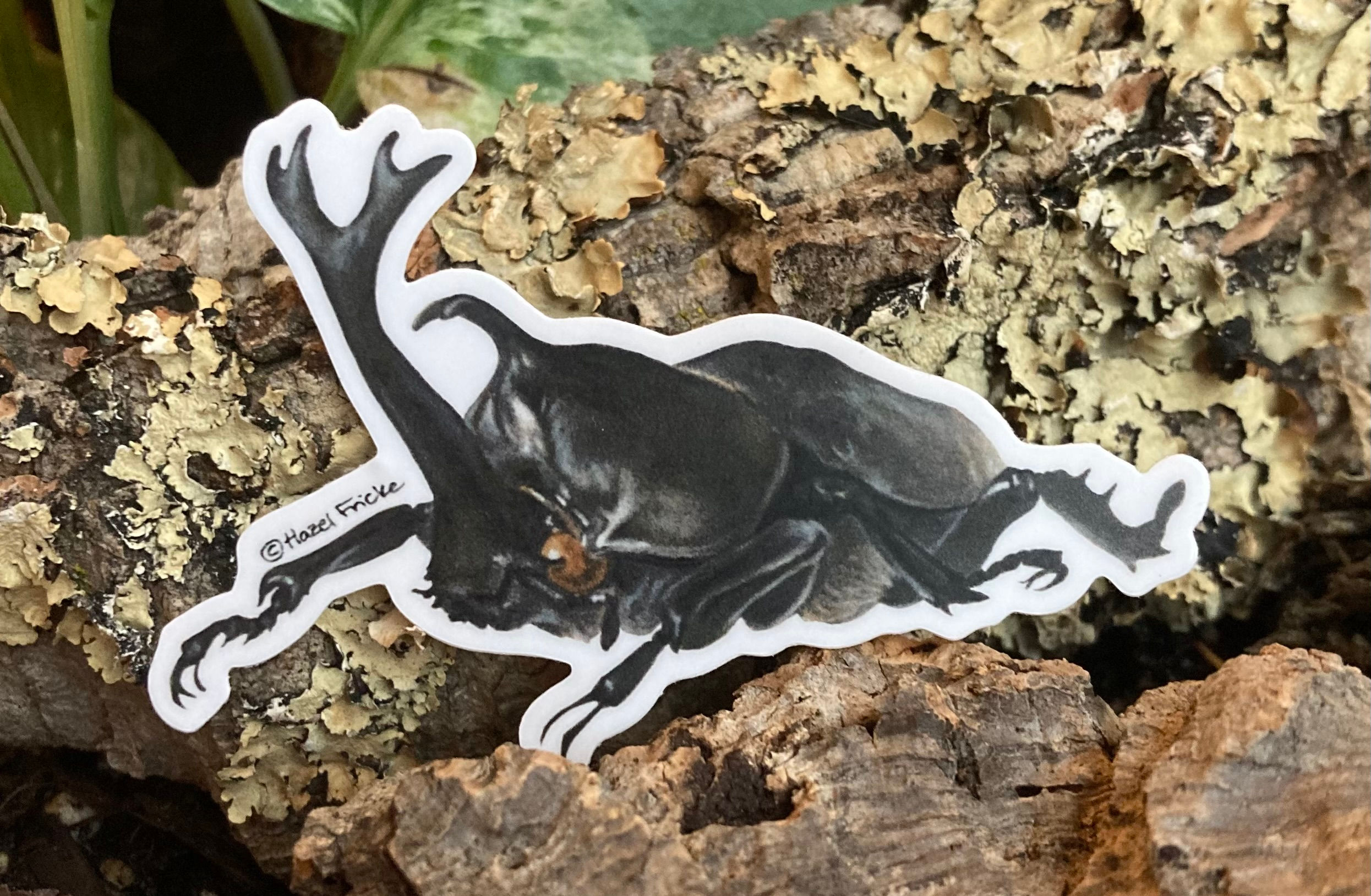 Trypoxylus dichotomus Sticker