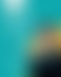 Associado aproveite o desconto da Netscan no mês do advogado