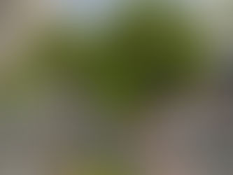 Confira os detalhes do percurso da 7ª Corrida Noturna da Advocacia!