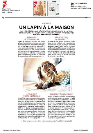 2019-06-21-TELE 7 JOURS-Du 15 au 21 juin 2019-10000000056975138-page-001.jpg