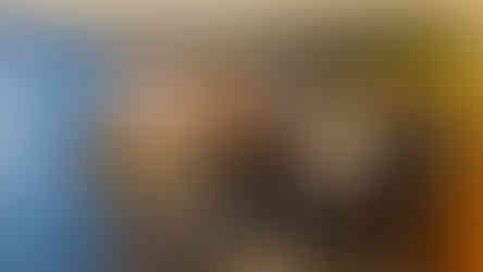 Welcome to the Finals