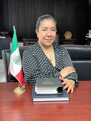 Imagen de WhatsApp 2025-07-10 a las 22_e