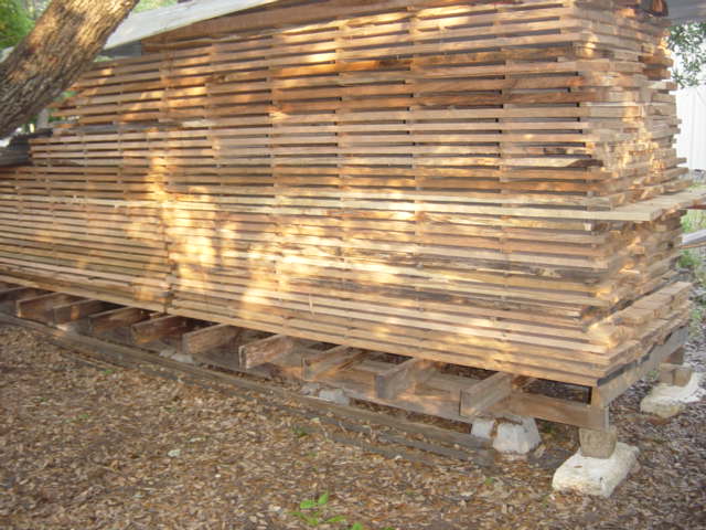 Red oak, Salado Logs1880.JPG