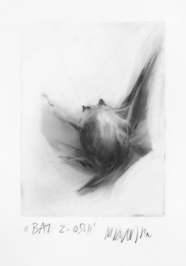 Bat 2.09.11, 2011