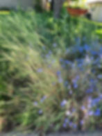 20240516_120224 - Emily Hamant