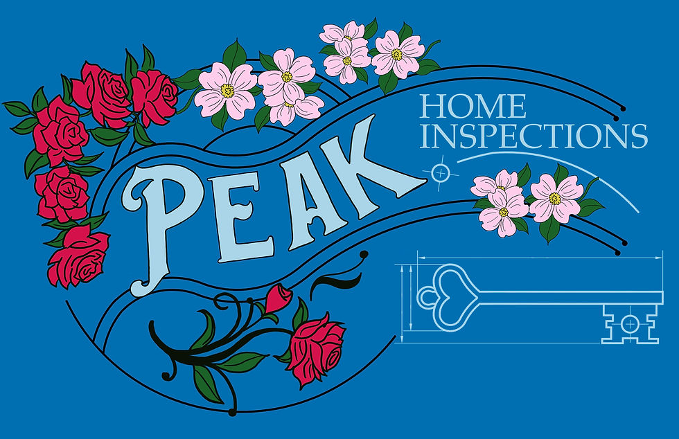 Peak logo design