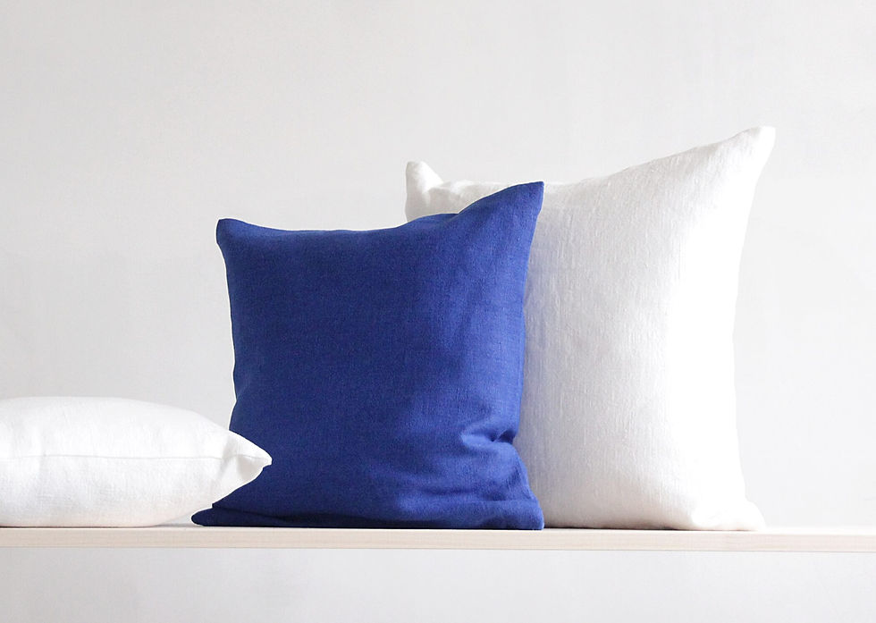 Miniature : Blue and white linen pillow covers