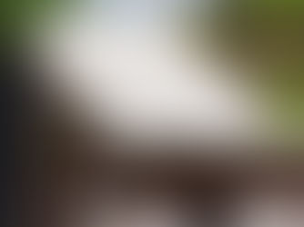 Oléfine et la mousse à séchage rapide