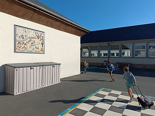 IMG_20220704_084055.jpg