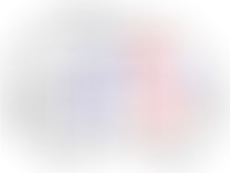 瞎子摸象閱讀法