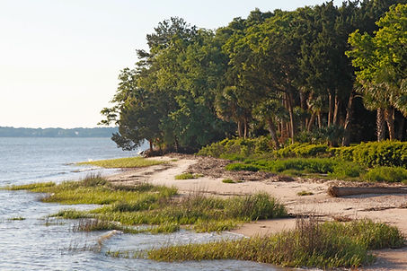 Beneficiary for the R4R Rough Runners Daufuskie Island Marathon and Half Marathon Daufuskie Island Conservancy