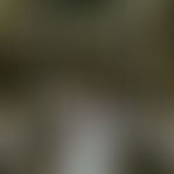 Woodland Portrait Session Photoshoot in the Teign Gorge, Dartmoor, Devon