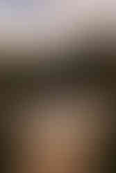 Ashley wood farm wedding photos