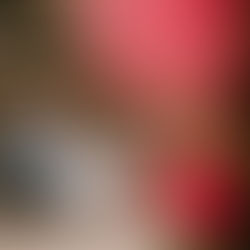 Photos of an Intimate Wedding Ceremony at Hotel Endsleigh Tavistock, Devon. 