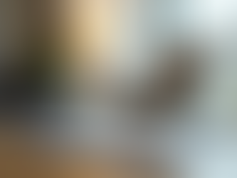 Optimisez Votre Consultation Avec GEME Conseils